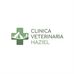 Clinica Veterinaria Haziel, Santo Stefano di Magra orari di apertura
