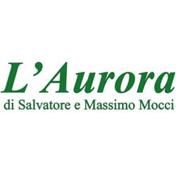 Agenzia Funebre Aurora, Villacidro orari di apertura