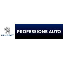 Peugeot - Professione Auto Srl, Roma orari di apertura