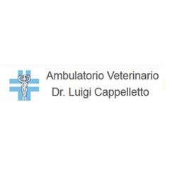 Clinica Veterinaria Il Podere, Paese orari di apertura