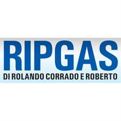 Rip Gas Caldaie, Villafranca Piemonte orari di apertura