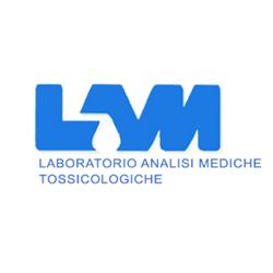 Lam, Sarzana orari di apertura