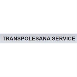 Transpolesana Service - Officina Veicoli Industriali, Cerea orari di apertura