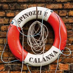 Spinozzi & Calanna - Avvocati in Network, Roma orari di apertura