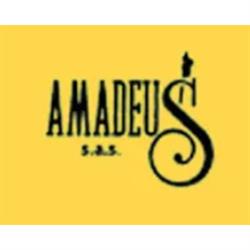 Amadeus, Perugia orari di apertura