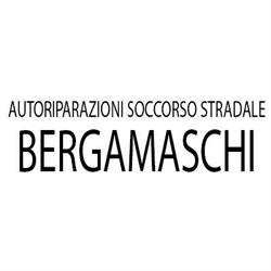 Autoriparazioni Soccorso Stradale Bergamaschi, Villa di Serio orari di apertura