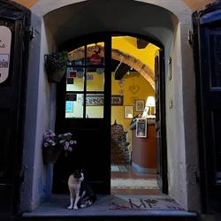 Antica Casa dei Rassicurati Diario di Borgo S.a.s di Bellini Gabriele & C., Montecarlo orari di apertura
