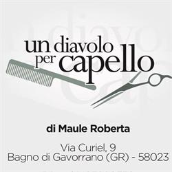 Un Diavolo Per Capello Di Maule Roberta, Gavorrano orari di apertura