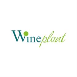 Wineplant, Appiano sulla strada del vino orari di apertura