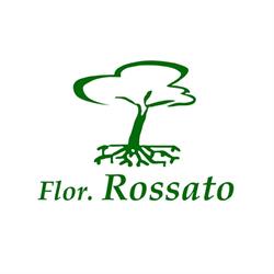 Floricoltura Rossato Paolo - Manutenzione Giardini Vivaio Serre, Viggiù orari di apertura