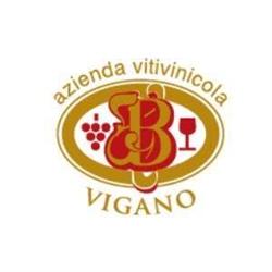 Azienda Vitivinicola Vigano, Santa Maria della Versa orari di apertura