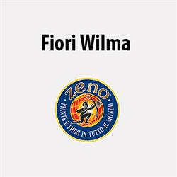 Fiori Wilma, Ivrea orari di apertura