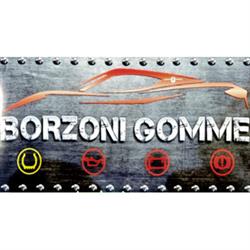 Msa Borzoni Gomme, Borgo Val di Taro orari di apertura