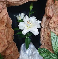 Centro Estetico Il Giglio, Mogliano orari di apertura