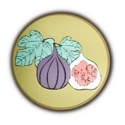Agriturismo Colombra, Cerzeto orari di apertura
