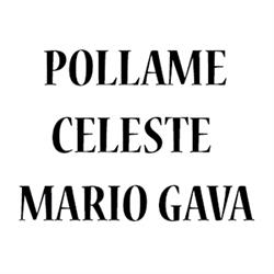 Pollame Celeste Mario Gava, Godega di Sant'Urbano orari di apertura