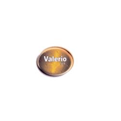 Centro Assistenza Valerio, Piano d'api orari di apertura