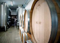 Bel Sit S.r.l., Castagnole delle Lanze orari di apertura