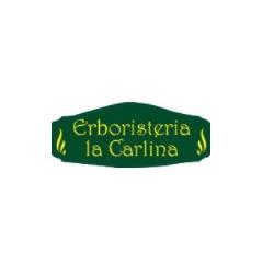 Erboristeria La Carlina, Cuorgnè orari di apertura