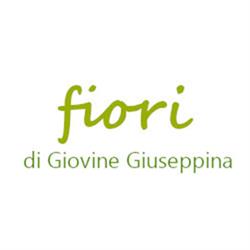 Fiori di Giovine Giuseppina, Canelli orari di apertura