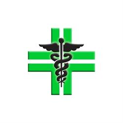 Farmacia Comunale Sant'Anna, Beinasco orari di apertura
