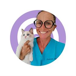 Ambulatorio Veterinario Assembri, Bordighera orari di apertura
