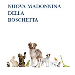Nuova Madonnina della Boschetta, Chieve orari di apertura
