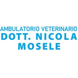 Ambulatorio Veterinario Mosele Dr. Nicola, Zevio orari di apertura