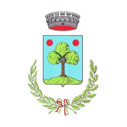 Comune Di Angiari, orari di apertura