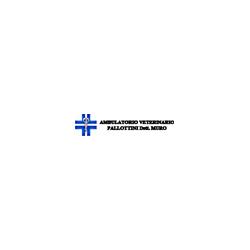 Ambulatorio Veterinario Pallottini, Fermo orari di apertura