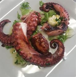 Trattoria Alla Nave, Marano Lagunare orari di apertura