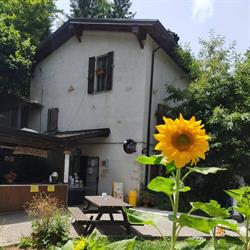 Il Rifugio, Morfasso orari di apertura