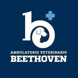 Ambulatorio Veterinario Associato Ludwig Van Beethoven, Bologna orari di apertura