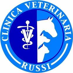 Clinica Veterinaria Di Russi - Associazione Professionale, orari di apertura