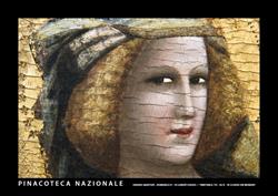 Pinacoteca Nazionale di Bologna, orari di apertura