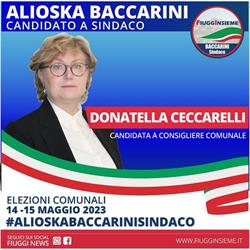Avvocato Ceccarelli Donatella Maria, Fiuggi orari di apertura