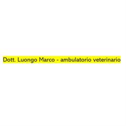 Studio Veterinario Dott. Luongo Marco, Roma orari di apertura