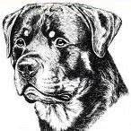 Il Rottweiler Ed Altro Di Domenico Ligorio Individuale, Roma orari di apertura