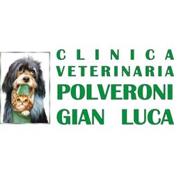 Polveroni Dr. Gianluca, Rieti orari di apertura