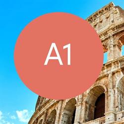 A1 Institute - Societa' Cooperativa, Roma orari di apertura