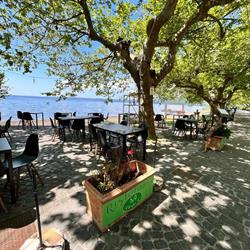 Bistrot 8e9, Trevignano Romano orari di apertura