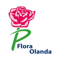 Flora Olanda S.r.l, Roma orari di apertura