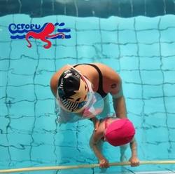 Octopus Societa' a Responsabilita Limitata Impianto Piscina Comunale, Roma orari di apertura