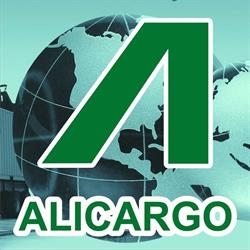 Alicargo SRL Trasporti e Spedizioni Internazionali, Roma orari di apertura