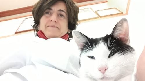 Dr.ssa Giuliana Agresti Medico Veterinario, Montesarchio orari di apertura