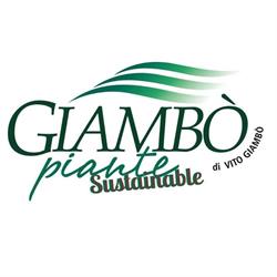 Giambo' Piante Di Giambo' Vito, Furnari orari di apertura
