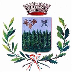 Comune Di Supersano, orari di apertura