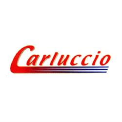 Carluccio Trasporti, Poggiardo orari di apertura