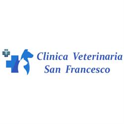 Clinica Veterinaria San Francesco, Potenza orari di apertura