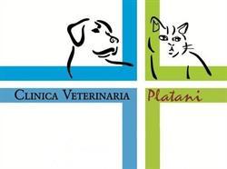 Clinica Veterinaria Platani Ragusa, orari di apertura